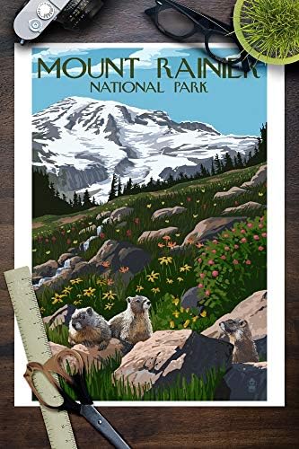 Rainier Dağı Milli Parkı, Washington, Çayır ve Dağ Sıçanları (9x12 Duvar Sanat posterleri, Dijital Baskı Dekorasyon)