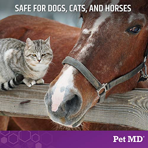 Pet MD Micoseb-CX Köpekler, Kediler ve Atlar için İlaçlı Şampuan Mikonazol ve Klorheksidin ile Cilt Enfeksiyonu Cilt Rahatsızlıklarının,
