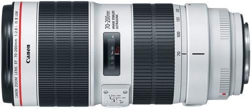 Canon EF 70-200mm f/2.8 L ıs III USM Lens Paketi w/ 64GB Hafıza Kartı + Aksesuarlar ve 3 Parça Filtre Kiti (Uluslararası Model)