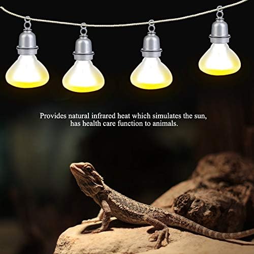 SOONHUA 220-230 V Gece ısı ışık Lambası Ampul ıçin Kuş Yılan Sürüngen Pet Amfibi (25 W)