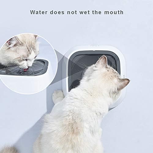 Pet Yüzen su kasesi, 1.5 L Yavaş Aşağı Su Besleyici Çeşme Hiçbir Dökülme Anti-Taşma Anti-Toz Otomatik Su yiyecek kasesi Köpek