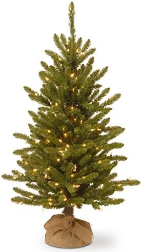 National Tree Company Önceden aydınlatılmış Yapay Mini Noel Ağacı / Küçük ışıklar ve Bez Çanta Tabanı İçerir / Kensington Çuval