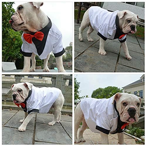 Baıfeng Pet Köpek Kostüm Takım Elbise Giyim Giyim Smokin Nefes Moda Düğün Parti için