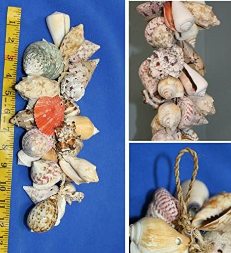 Küçük Alanlar İçin Asılı Deniz Kabuğu Mobil Dekor, El Yapımı Doğal Bütün Deniz Kabukları, G-04