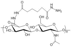 Hyaluronat-Hidrazid, MW 750kDa (500 mg)