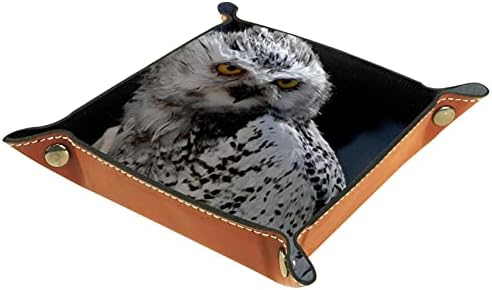 Deri vale Tepsi Çok Amaçlı saklama kutusu Tepsi Organizatör depolama için Kullanılan küçük aksesuarlar,benekli baykuş