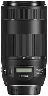Canon CANON Değişim Lens EF70-300mm F4-5.6 ıs II USM-Canon EF Dağı (Japonya İthalat-Hiçbir Garanti)