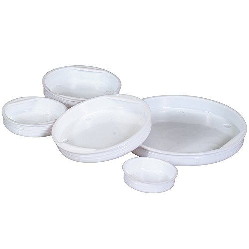 Posta Tüpleri için Aviditi Plastik Uç Kapakları, 2-1 / 2 İnç Çapında, Beyaz (100 Paket)